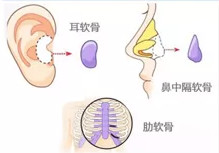 https://img.miyanlife.com/mnt/timg/200105/1635294523-5.jpg