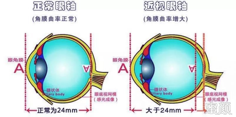 案例图片