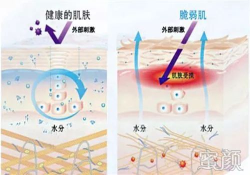 https://img.miyanlife.com/mnt/timg/200107/155G3H46-6.jpg