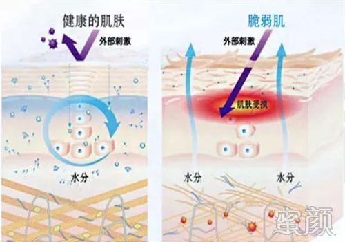 案例图片