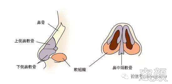 案例图片