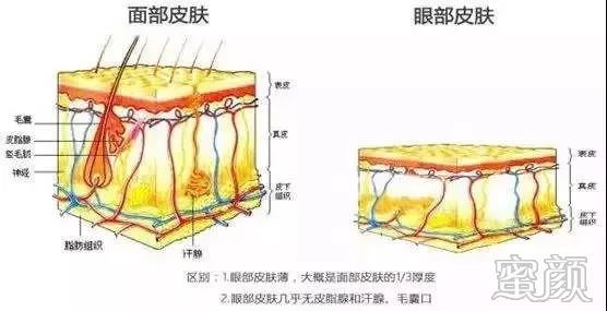 https://img.miyanlife.com/mnt/timg/200110/1041133917-7.jpg
