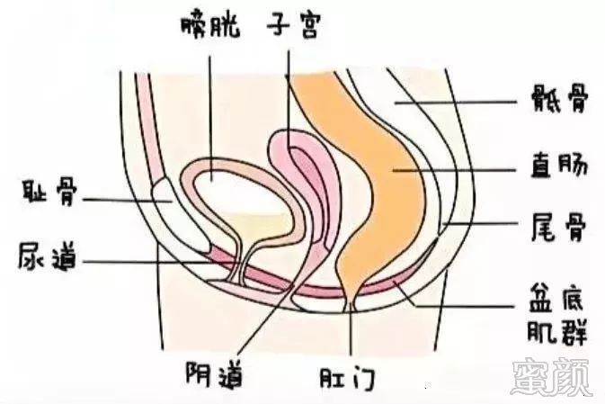 案例图片