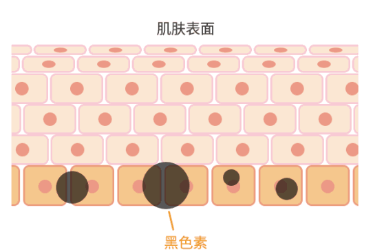https://img.miyanlife.com/mnt/timg/200111/11504412P-3.jpg