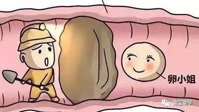 https://img.miyanlife.com/mnt/timg/200111/122341B45-0.jpg