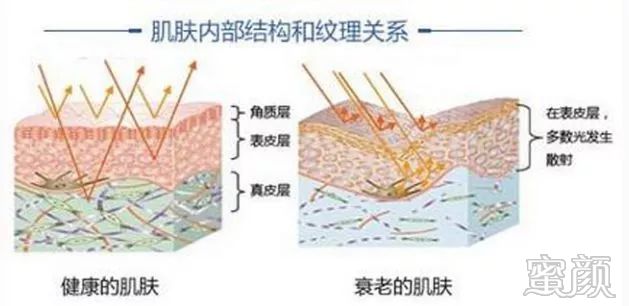 案例图片