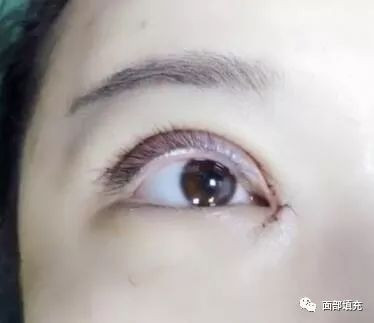 https://img.miyanlife.com/mnt/timg/200115/1P0235312-1.jpg