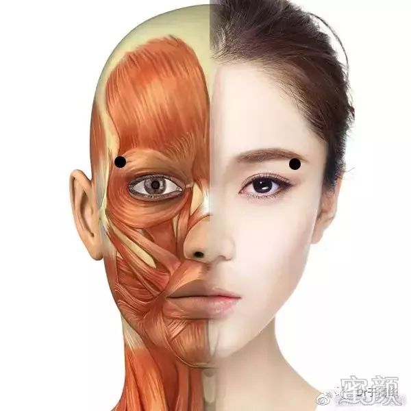https://img.miyanlife.com/mnt/timg/200116/1Q1491U2-1.jpg