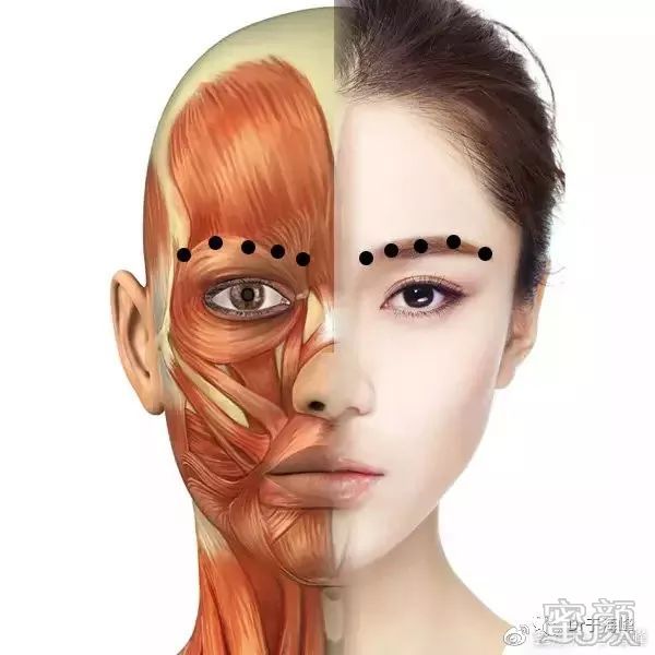 https://img.miyanlife.com/mnt/timg/200116/1Q1503311-4.jpg