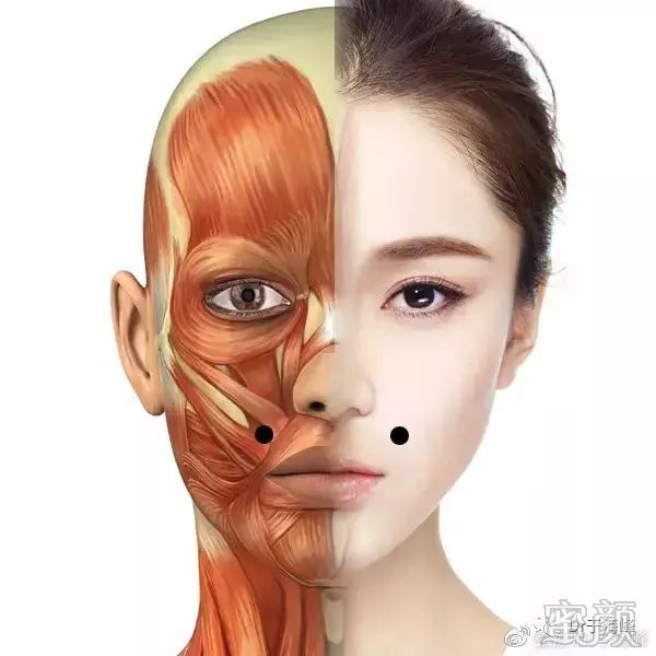https://img.miyanlife.com/mnt/timg/200116/1Q1511F8-6.jpg