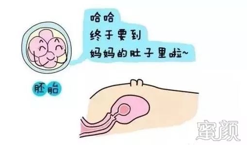 https://img.miyanlife.com/mnt/timg/200117/1633264S3-0.jpg
