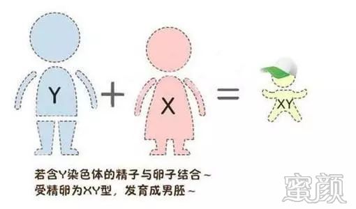 https://img.miyanlife.com/mnt/timg/200118/13533J1B-2.jpg