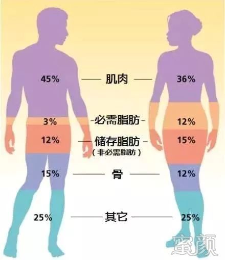 https://img.miyanlife.com/mnt/timg/200121/1225462U2-2.jpg