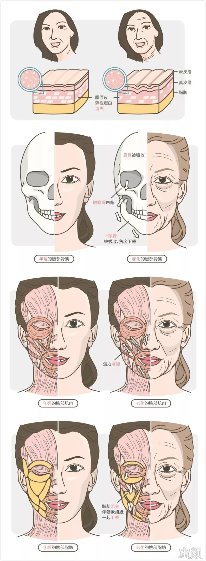 https://img.miyanlife.com/mnt/timg/200121/12525332G-0.jpg