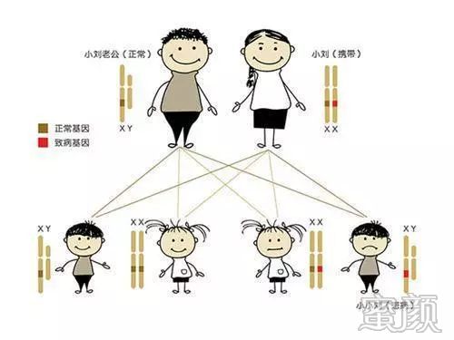 https://img.miyanlife.com/mnt/timg/200121/13201913G-5.jpg