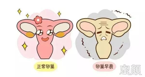https://img.miyanlife.com/mnt/timg/200121/13201I318-2.jpg