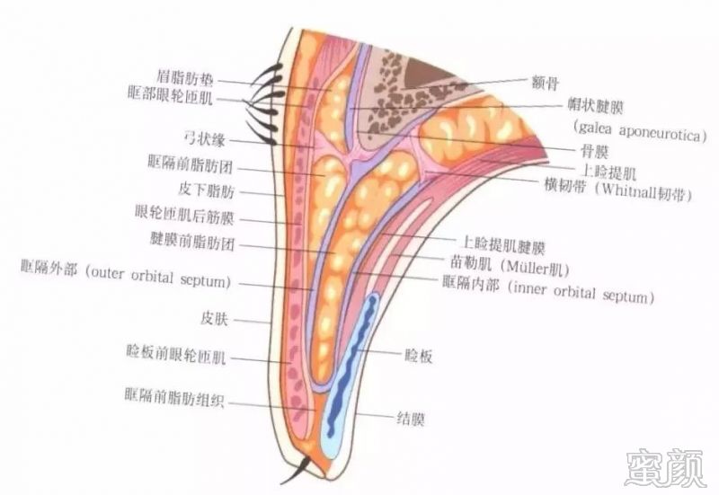 案例图片