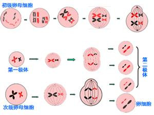 https://img.miyanlife.com/mnt/timg/200131/125G45604-1.jpg