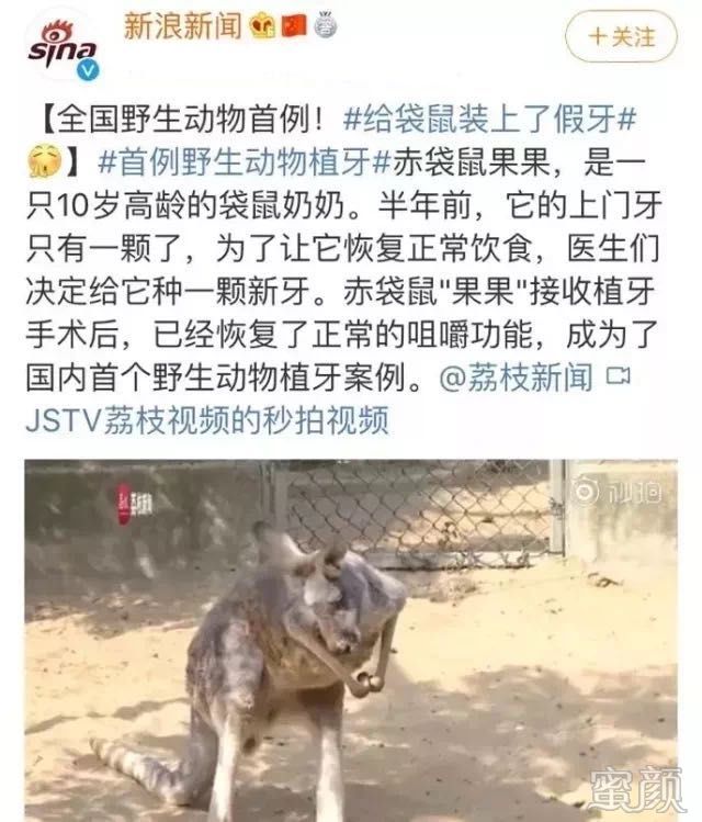 案例图片