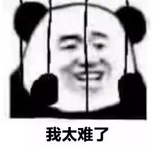 案例图片