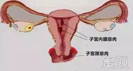 https://img.miyanlife.com/mnt/timg/200213/134222CM-1.jpg