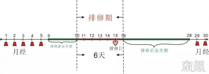 https://img.miyanlife.com/mnt/timg/200217/1211432c0-3.jpg