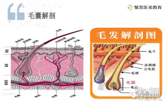 案例图片