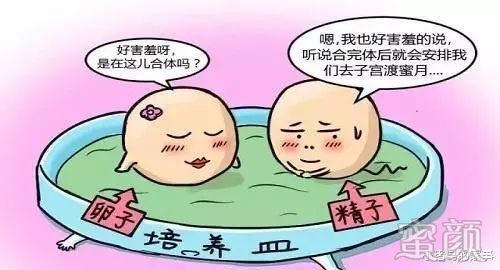 https://img.miyanlife.com/mnt/timg/200219/132F62261-0.jpg