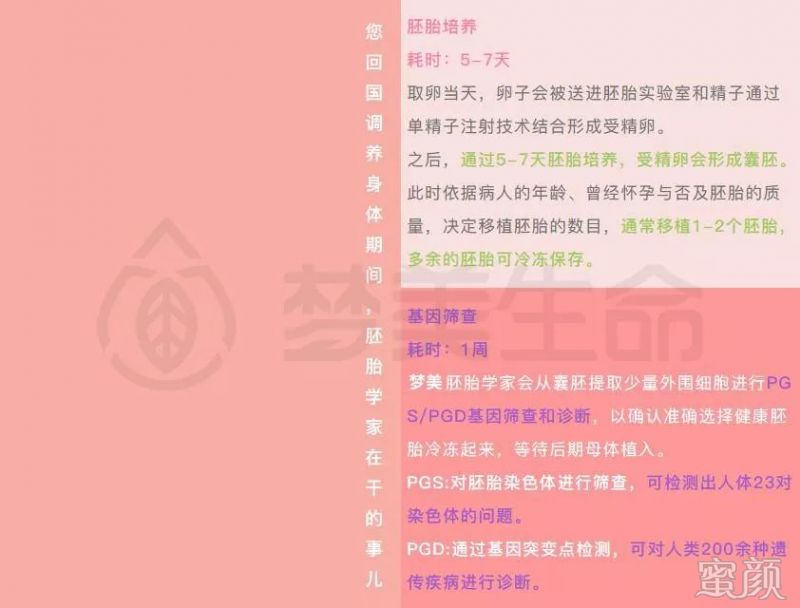 https://img.miyanlife.com/mnt/timg/200219/13350B017-8.jpg