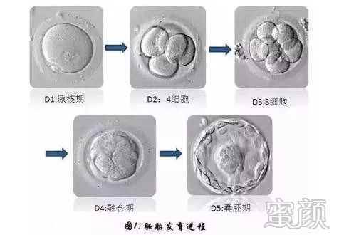 https://img.miyanlife.com/mnt/timg/200220/1343244511-2.jpg