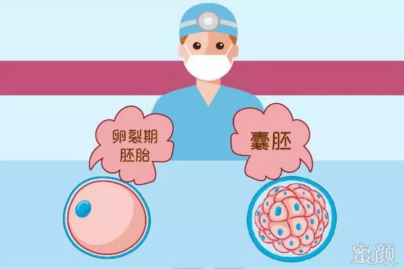 https://img.miyanlife.com/mnt/timg/200220/134543A19-0.jpg