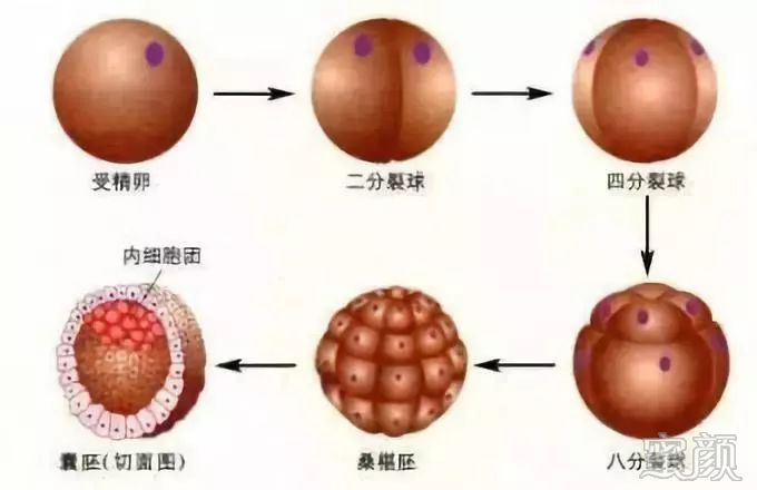 https://img.miyanlife.com/mnt/timg/200220/134551HN-4.jpg