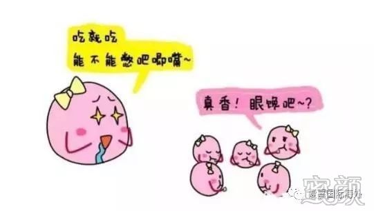 https://img.miyanlife.com/mnt/timg/200221/13000C426-1.jpg