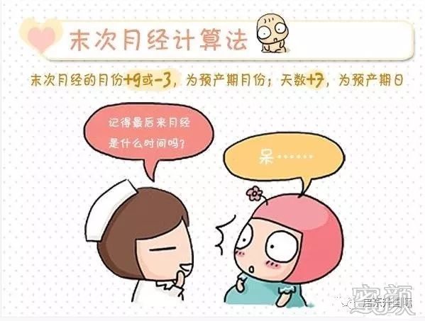 https://img.miyanlife.com/mnt/timg/200222/13304014W-9.jpg