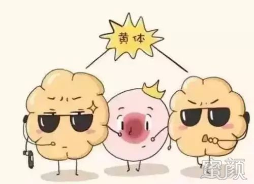 https://img.miyanlife.com/mnt/timg/200223/14562LU8-0.jpg