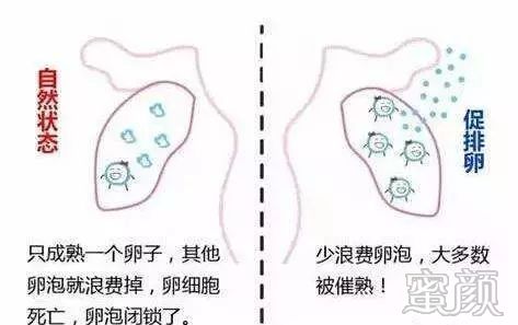 https://img.miyanlife.com/mnt/timg/200223/145I41K3-3.jpg