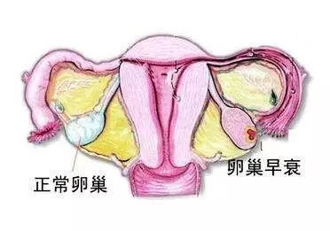 https://img.miyanlife.com/mnt/timg/200223/145I43Y6-4.jpg
