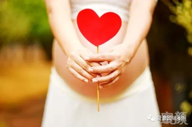 https://img.miyanlife.com/mnt/timg/200225/13250B249-3.jpg