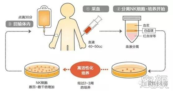 案例图片