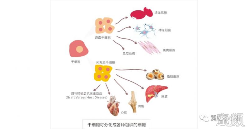 案例图片