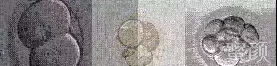 https://img.miyanlife.com/mnt/timg/200301/12352633K-1.jpg