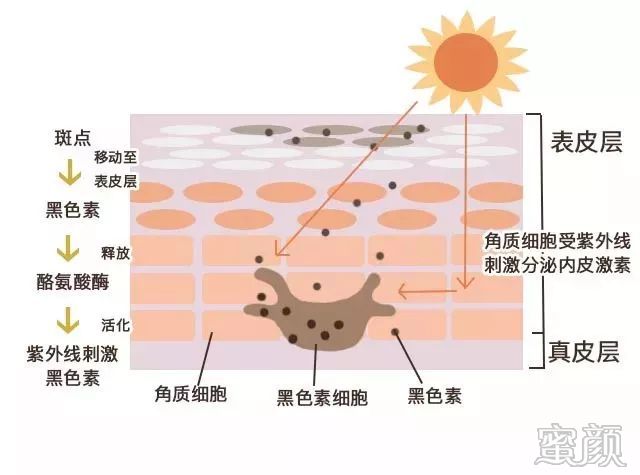 案例图片