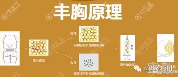https://img.miyanlife.com/mnt/timg/200303/140G94501-2.jpg