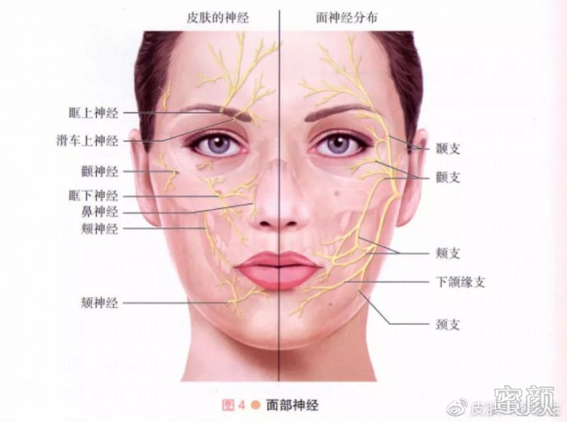 https://img.miyanlife.com/mnt/timg/200305/1414192191-4.jpg
