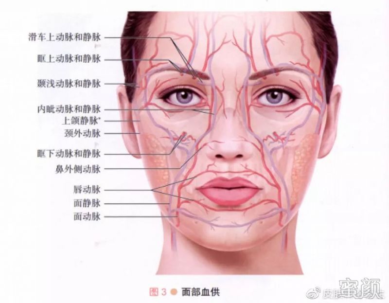 https://img.miyanlife.com/mnt/timg/200305/1414193L0-3.jpg
