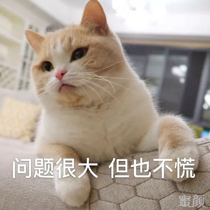 https://img.miyanlife.com/mnt/timg/200305/14150T514-19.jpg