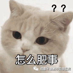 https://img.miyanlife.com/mnt/timg/200309/1254145314-2.jpg