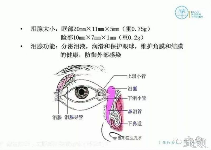 https://img.miyanlife.com/mnt/timg/200310/1310295336-1.jpg