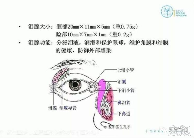 案例图片