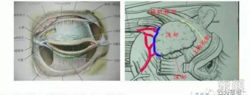 https://img.miyanlife.com/mnt/timg/200310/13102aT3-0.jpg